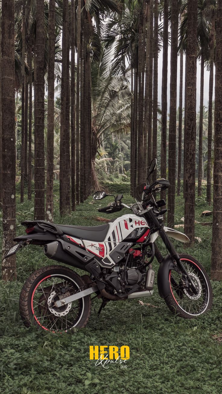 Offroad Dunes
